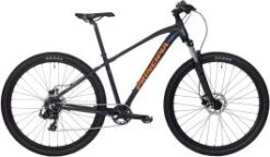 Principia A2.9 29" - Mountainbike - Blank Grå - 17"